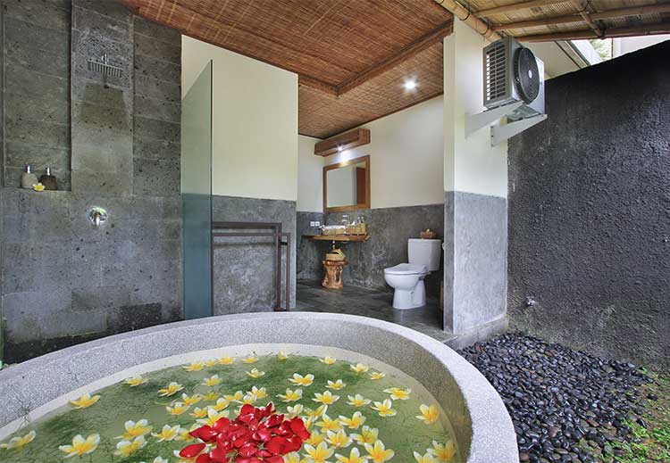 Garden Suite