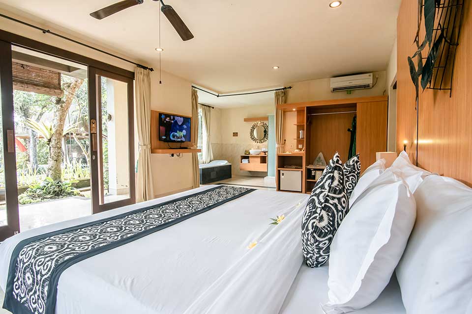 Valley Suite