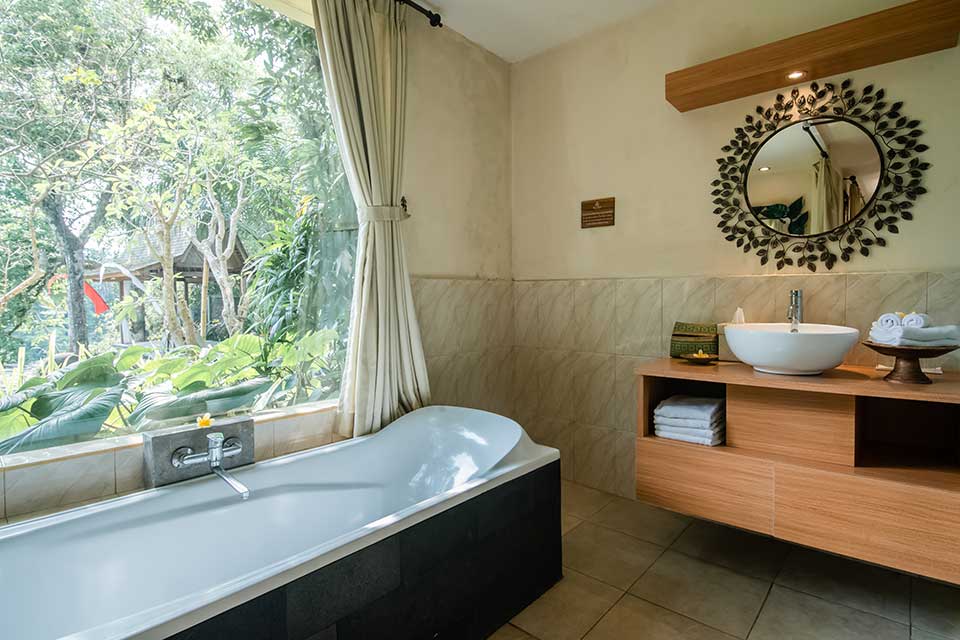 Valley Suite